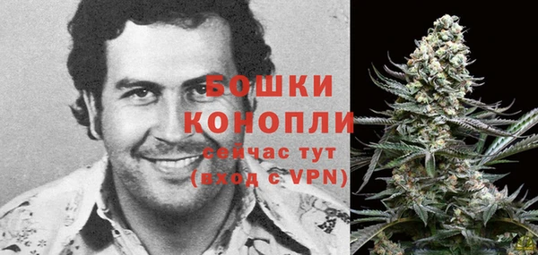 соль ск Надым