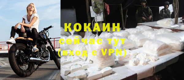 соль ск Надым